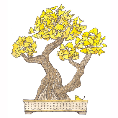 a golden-leafed gingko tree